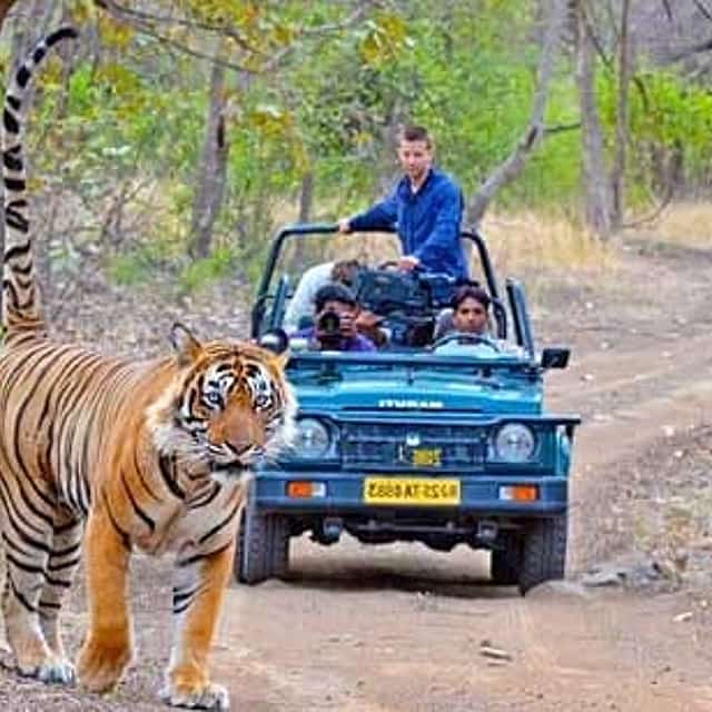 5-Day Agra, Jaipur & Ranthambore Tour