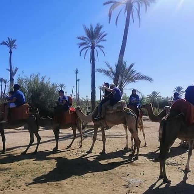 1 Hour Camel Ride in the palm groves of Marrakech