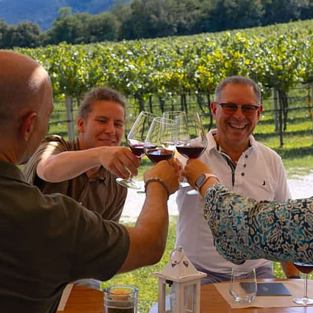 From Padua, Wine tour on the Euganean Hills