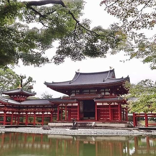 Kyoto Uji Matcha Morning Tour with English Speaking Guide