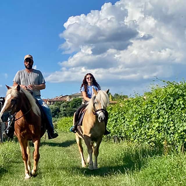 Horseback Riding with wine tasting in Lake Garda vineyards