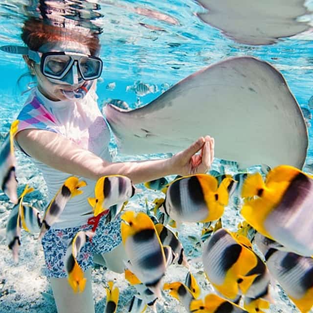 Snorkeling Adventure Blue Lagoon & Tanjung Jepun Exploration Kit