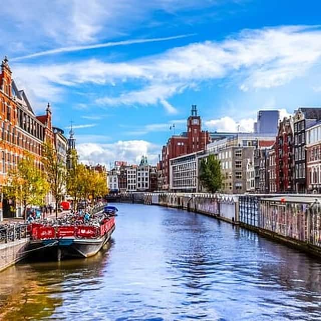 Amsterdam: เกมสำรวจเมือง "ทิวลิปทองคำ"