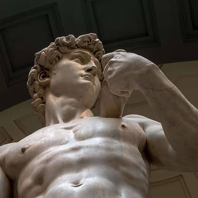 Official entry Ticket with time reservation for the Accademia Gallery & Michelangelo’s David