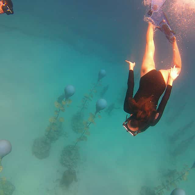 Snorkelling on MUSAN (underwater museum of Ayia Napa)