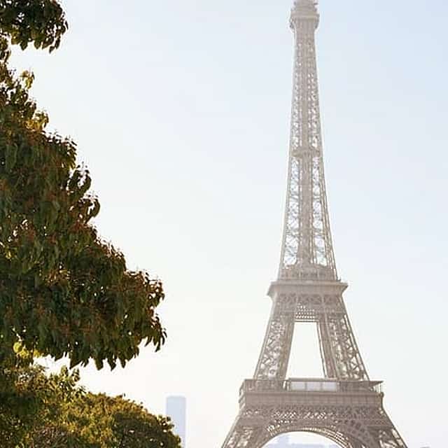Eiffel Summit and Walking Tour in Saint Germain des Prés