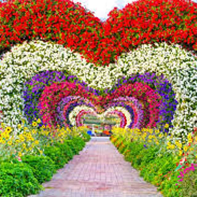 Miracle Garden Admission Tickets