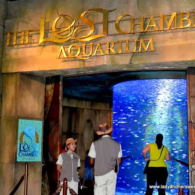 Dubai Atlantis Aqua venture Water Park & Lost Chambers Tour with Private Transfers