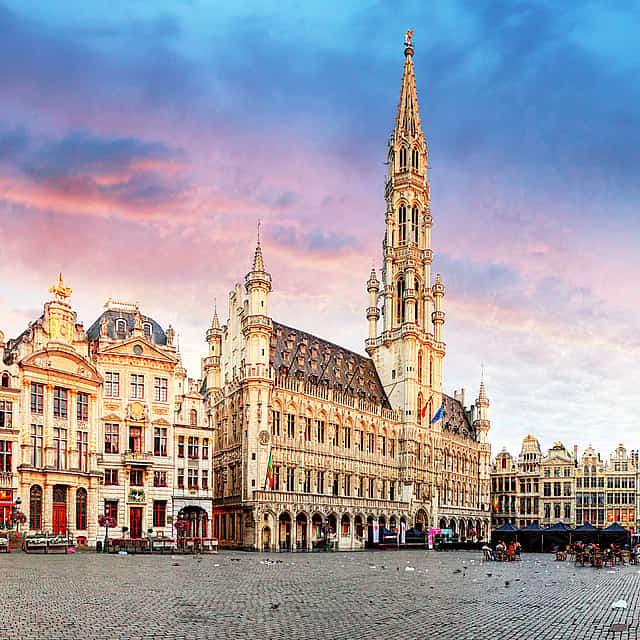 Brussels Highlights Walking and Bus Tour