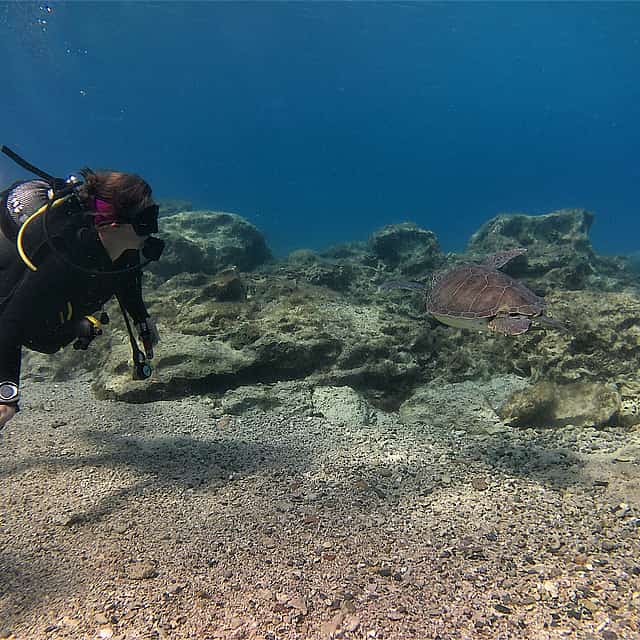 Scuba Diving for Beginners (try dive)