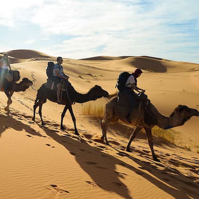 Agadir Kamelreiten mit Barbecue Abendessen