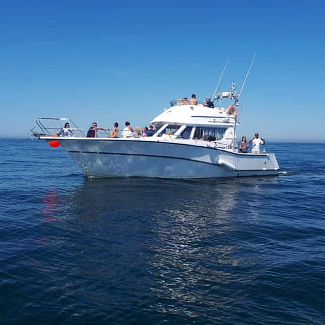 Experiencia de Pesca en Alta Mar en Grupo Pequeño en Cascais