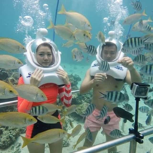 Cham Island Sea Trek and Snorkeling by Speedboat