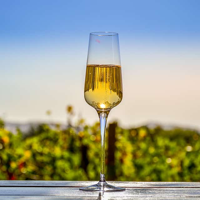 Full Day Cape Winelands Trike Tour