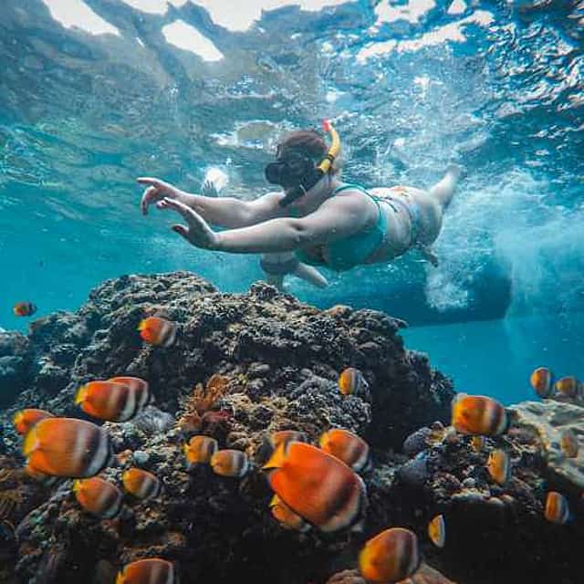 Nusa Penida Snorkeling Adventure