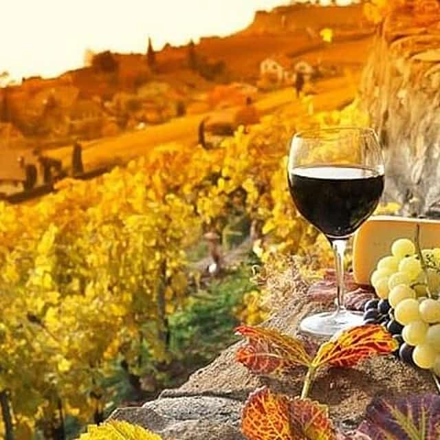 Chianti Private Tour with Dinner and Wine Tasting Experience