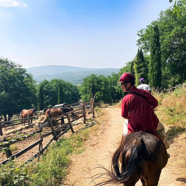 Excursión a caballo por las colinas de la Toscana desde Siena