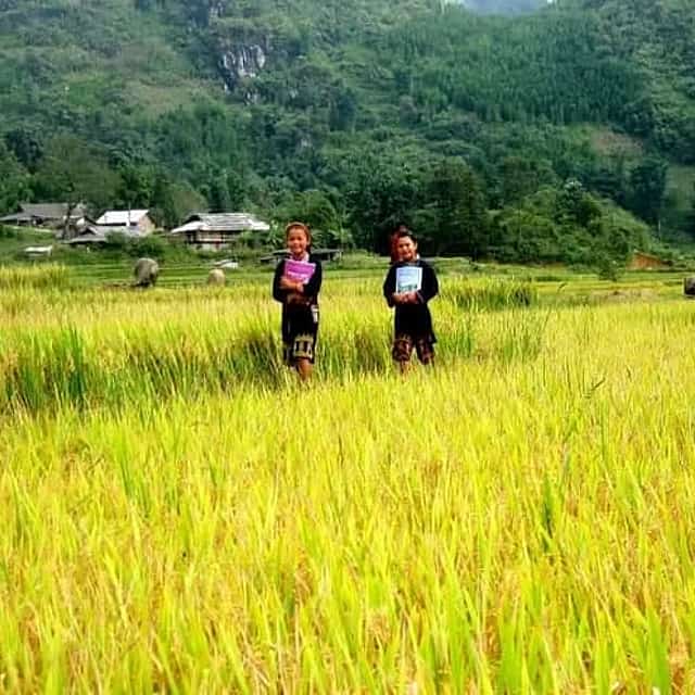 Sapa & Halong Bay Tour – 4 Days/3Nights Package