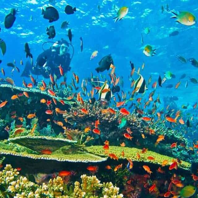 Green Oasis Nha Trang Excursions Tour