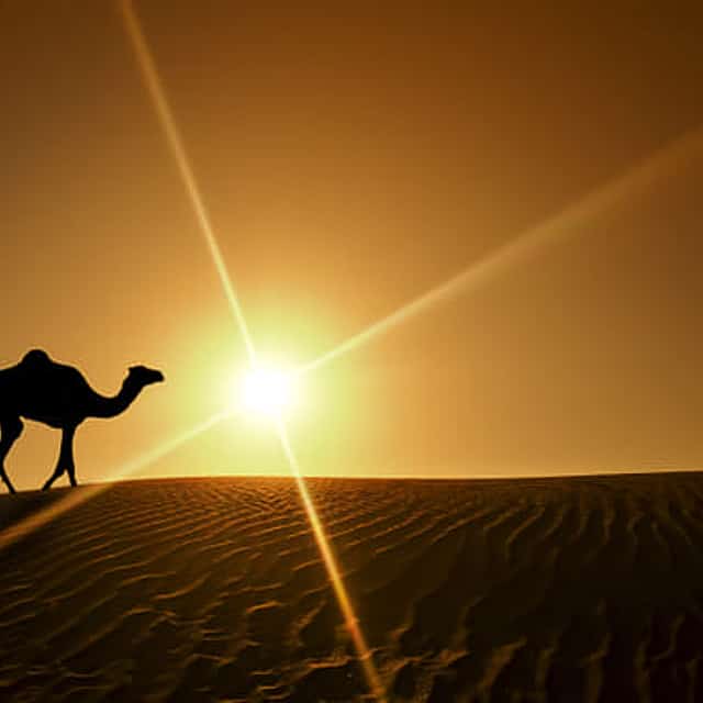 Magic of Marrakech and the desert 6 days