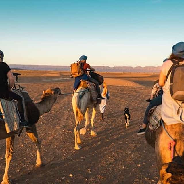 From Marrakech: Zagora 2-Day Desert Safari with Camel, and Camp