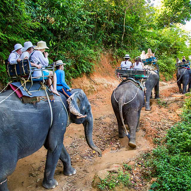 Phuket: Spływ tratwami bambusowymi, przejażdżka na słoniu z 15-minutową jazdą quadem.
