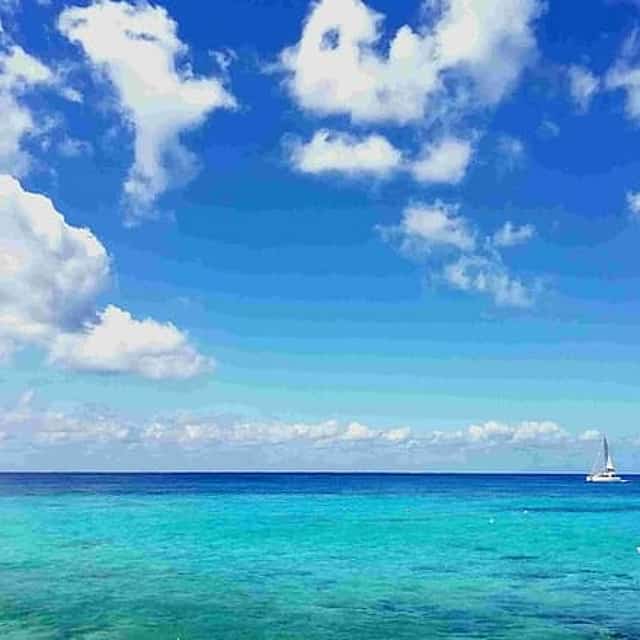 Cozumel Island Tour: Mayan Ruins, Reef Snorkeling & Beach Escape