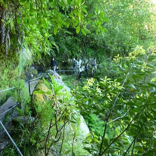 Caldeirão Verde Walk