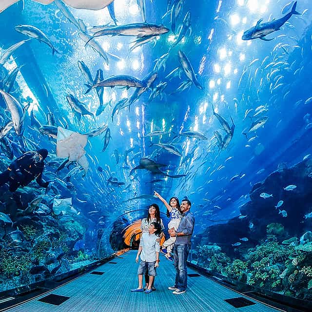 Burj Khalifa Visita ao 148º Andar, compras no Dubai Mall, Visita ao Aquário e Zoológico e Cruzeiro Dhow na Marina com Jantar