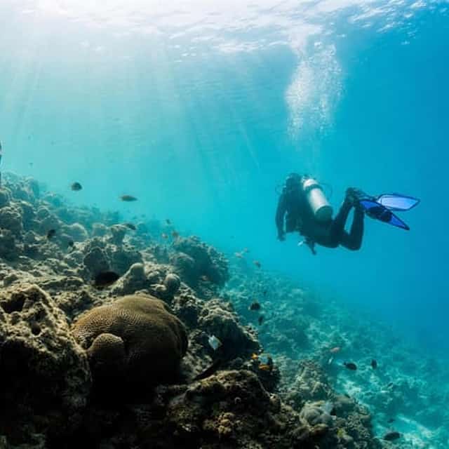 Scuba Diving Tour Fujairah