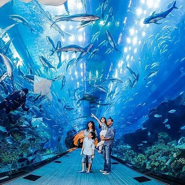 VIP Dubai Aquarium