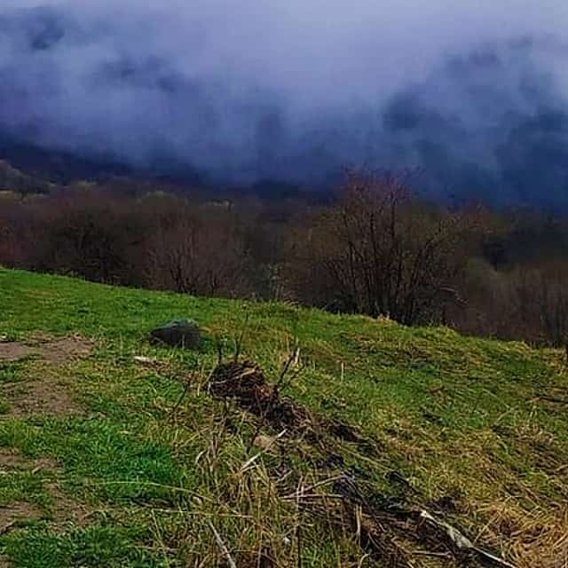 Discover Telavi: Tsinandali, Alaverdi & Gombori Tour