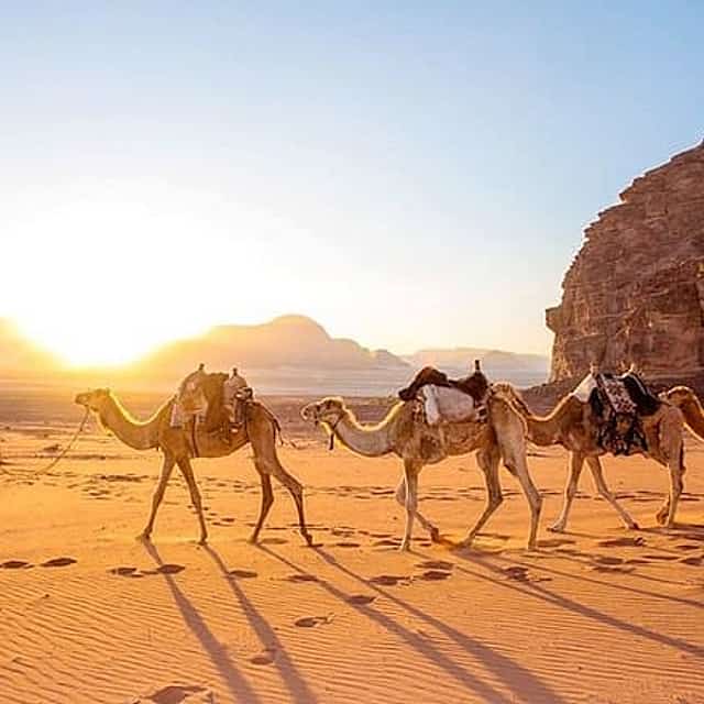 2-Day Desert Tour from Marrakech to Zagora Private & Luxury