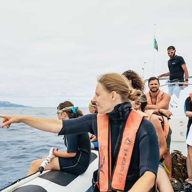 Delfines/Ballenas Experiencia