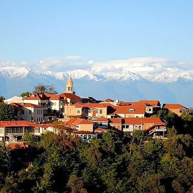 Kakheti Wine Tour from Tbilisi: Sighnaghi, Bodbe & Wine Tastings