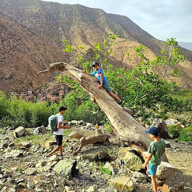 Marrakech: Atlas Mountains, Ourika Valley, Waterfall with Lunch