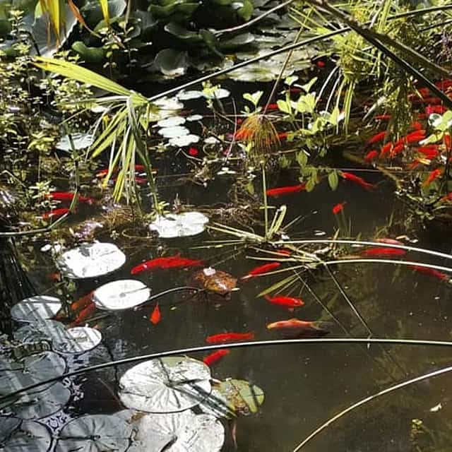 Halbtägige Tour Tanger mit Abholung & Rücktransfer: Donabo Garden, Herkuleshöhlen & Kamelreiten