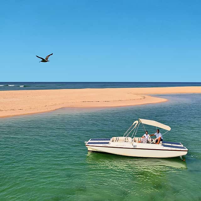 Birdwatching in Ria Formosa on a Solar Boat from Faro