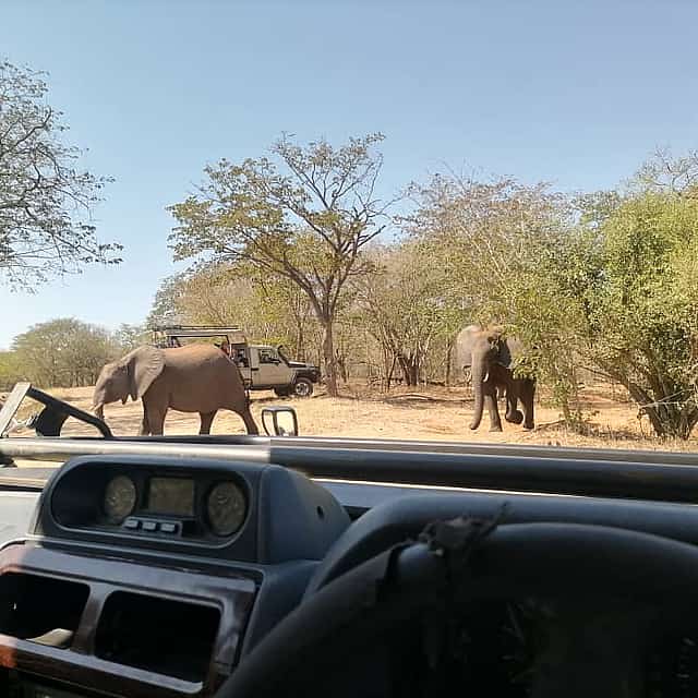 Halbtagesausflug in den Chobe Nationalpark