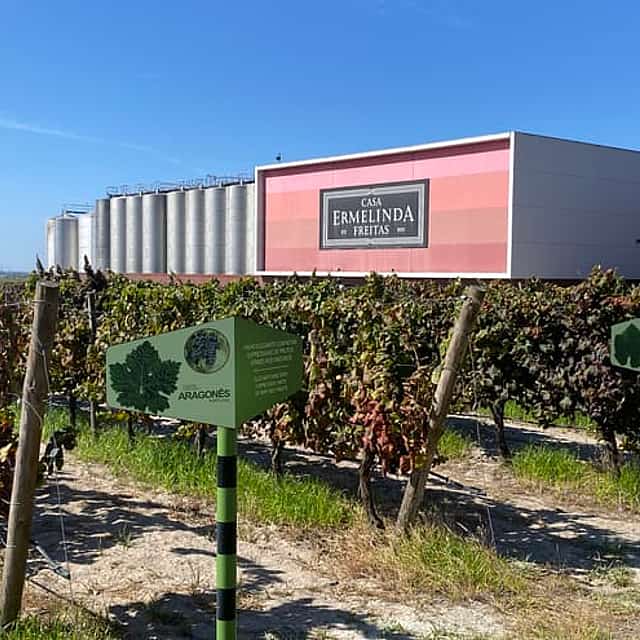 "Tour Privado de Degustación de Vinos en la Región Sur de Lisboa (Fernão Pó)".