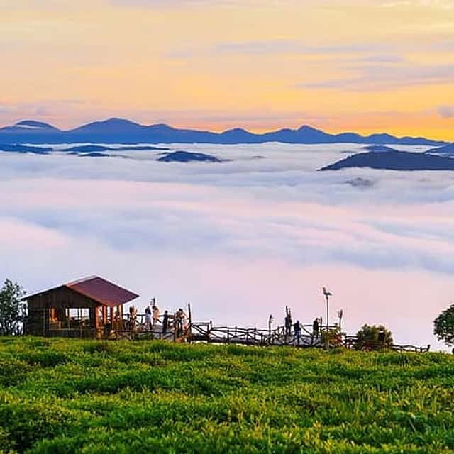 Cloud Hunting - Experience Dalat Special Products