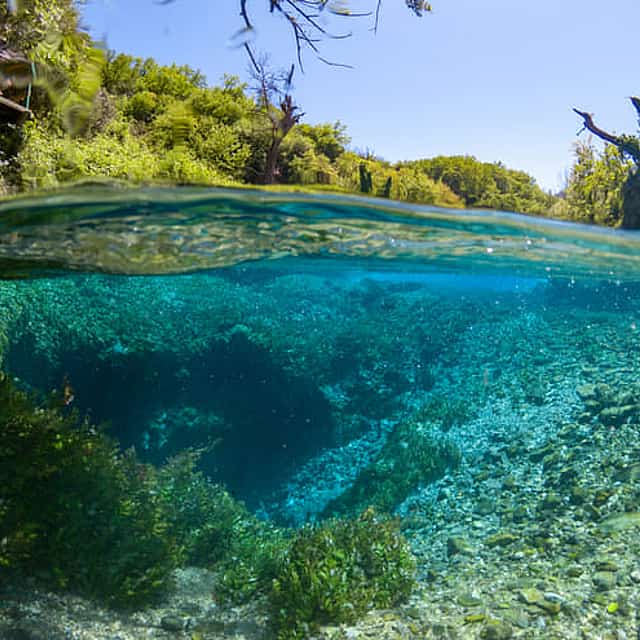 Day trip to the National Park of "Blue Eye" Small Group - from Saranda