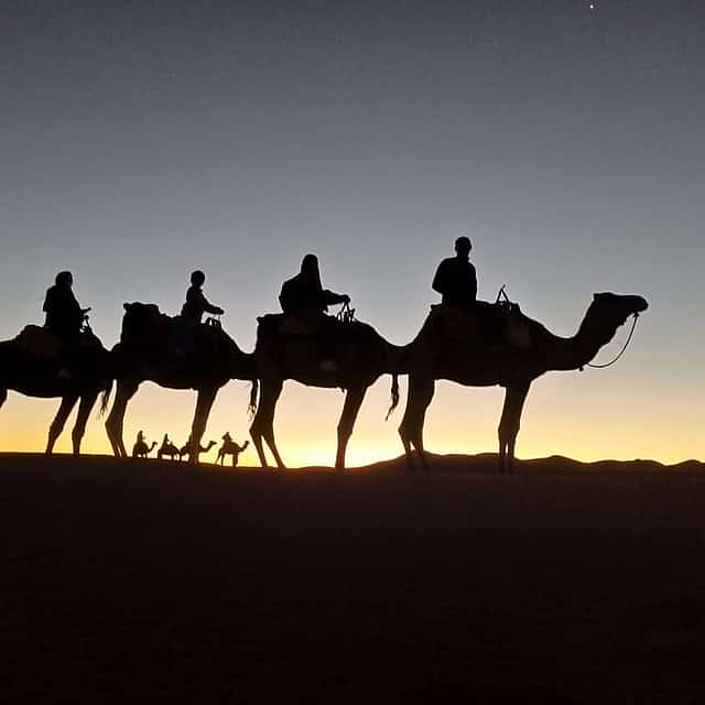 Kamelritt in der marokkanischen Sahara