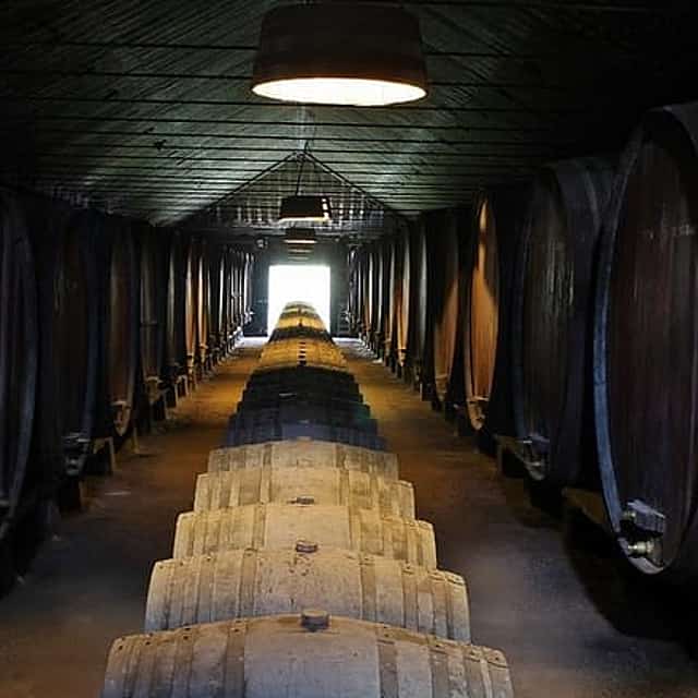 Descubra los Vinos de Setúbal: Una Aventura Vinícola Privada desde Lisboa.