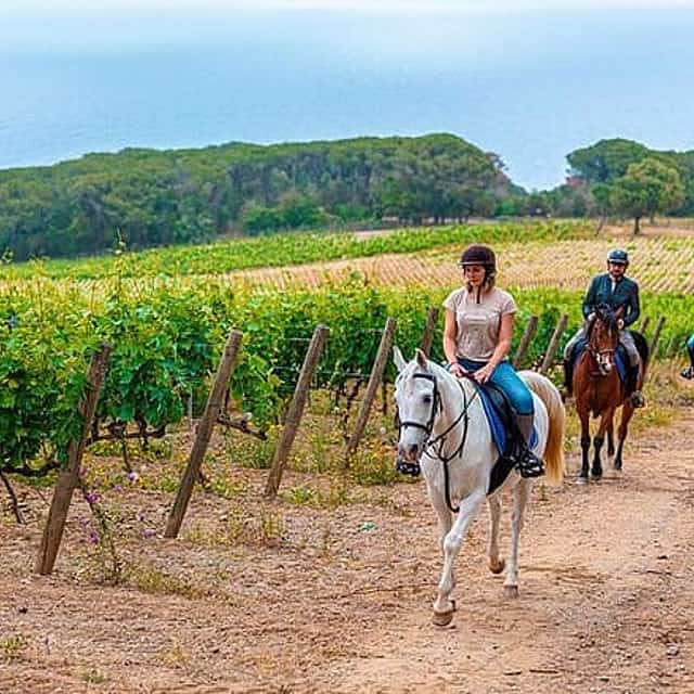 Exclusive Private Chianti Horseback Riding & Wine Tasting Experience from Florence