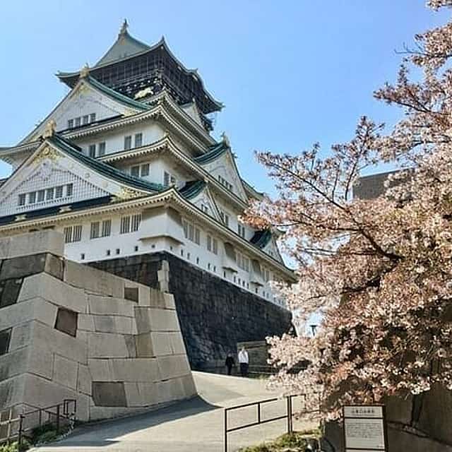 Full-Day Private Guided Tour to Osaka Castle