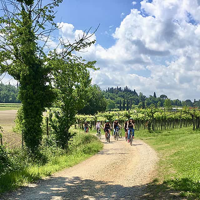 E-Bike tour with wine tasting from Polpenazze