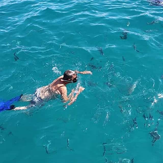 Cabo San Lucas Snorkel and Chileno Bay Catamaran Cruise