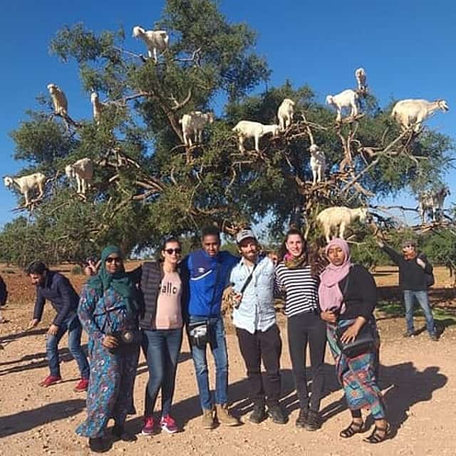 Morocco 11 Days Tour from Casablanca via Sahara Desert