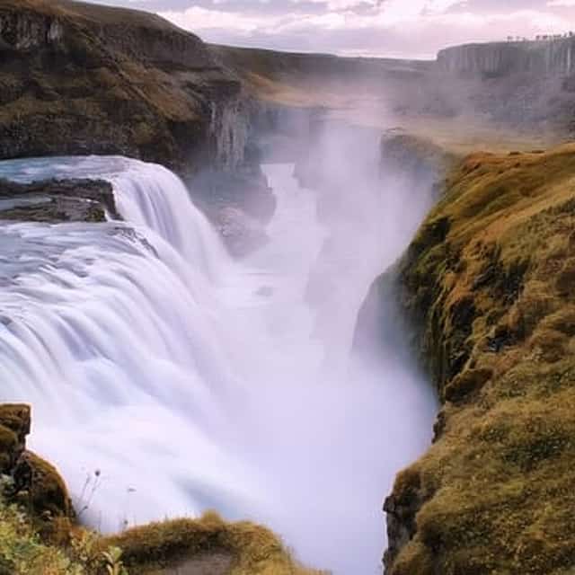 Golden Circle Day Tour with Friðheimar Farm